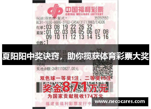 夏阳阳中奖诀窍，助你揽获体育彩票大奖