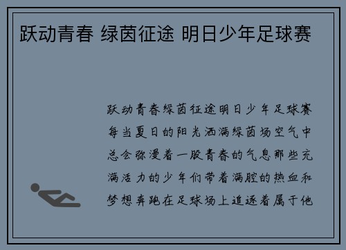 跃动青春 绿茵征途 明日少年足球赛