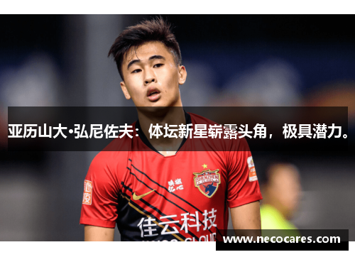 亚历山大·弘尼佐夫：体坛新星崭露头角，极具潜力。